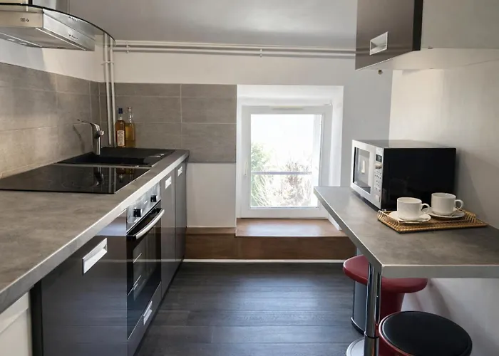 Apartment Le Perchoir De Picasso Gare Cosy Sous Les Toits 3 Pers